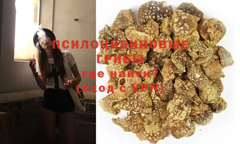 Псилоцибиновые грибы GOLDEN TEACHER  Апатиты 